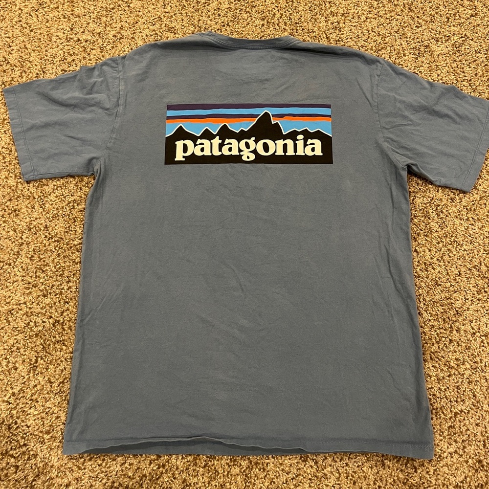 Patagonia Short Sleeve Tee, blue, mens M
